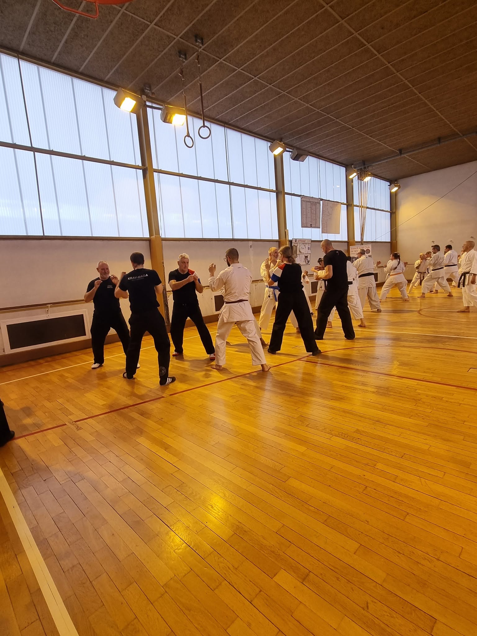 BODY KARATE
